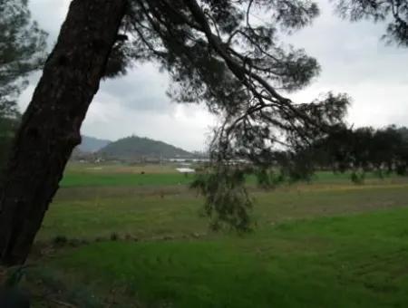 10.000 M2 Grundstück, Das Für Investitionen Geeignet Ist, Stehen Zum Verkauf In Ortaca Gölbasi