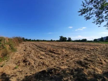 Oriya Fevziye Land Zum Verkauf In Null-Straße