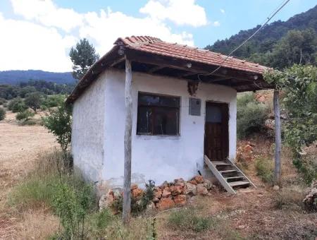 7 350 M2 Freistehendes Grundstück Und Haus Zum Verkauf Oder Im Austausch Mit Wohnung In Çameli Cevizli