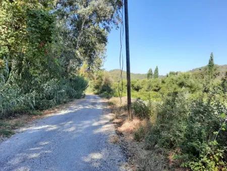 Weinberg Garten Zoning Land Zu Verkaufen In Gocek Inlice