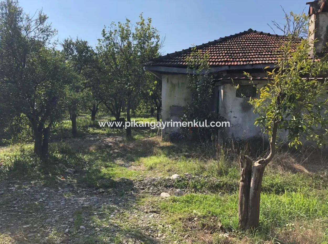 Land And Old Village House For Sale In Köyceeğiz Fire