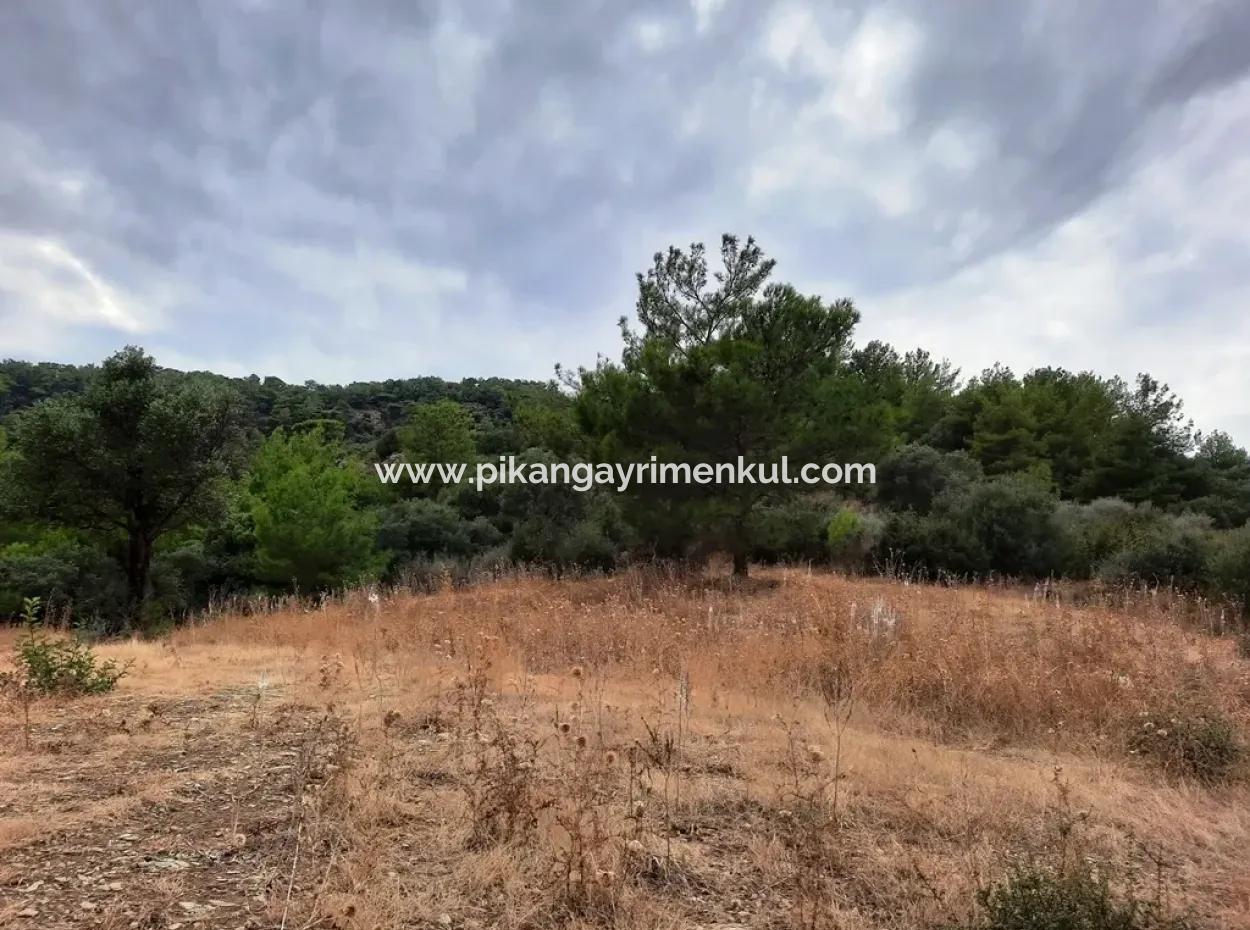 Mugla Ortaca Sarıgerme 880 M2 Full Sea And Nature View Plot For Sale