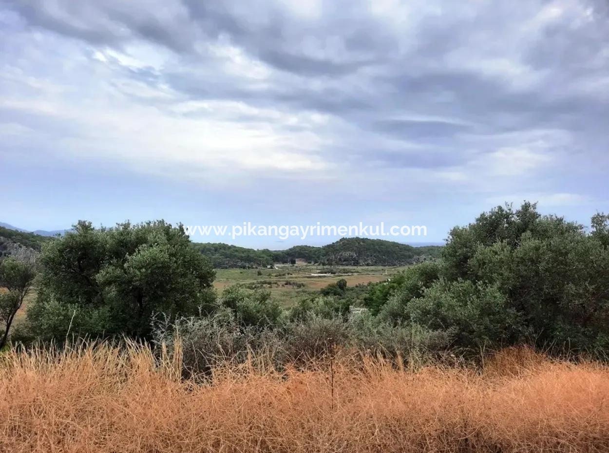 Plots With Sea View For Sale In Sarigerme Muğla