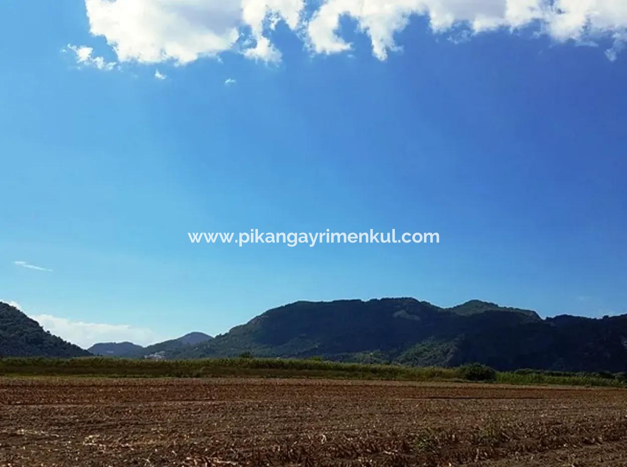 Fertile Bargain Land For Sale In Muğla Ortaca Güzelyurt
