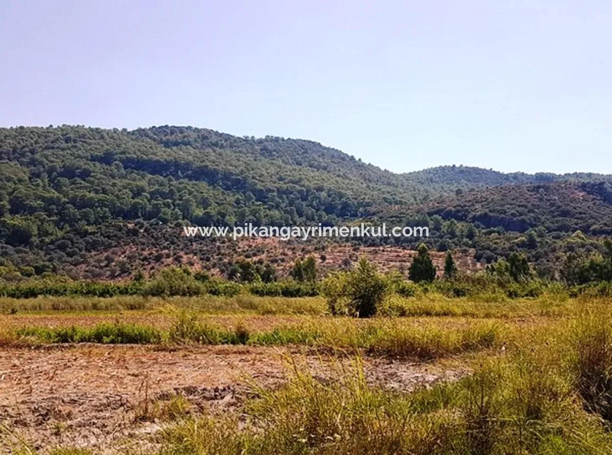Fertile Bargain Land For Sale In Muğla Ortaca Güzelyurt