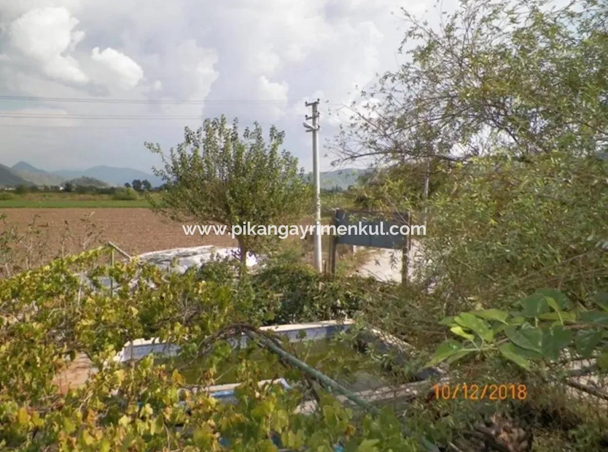 12 000 M2 Farm For Sale Certified Organic Agriculture Oriya Eskiköy