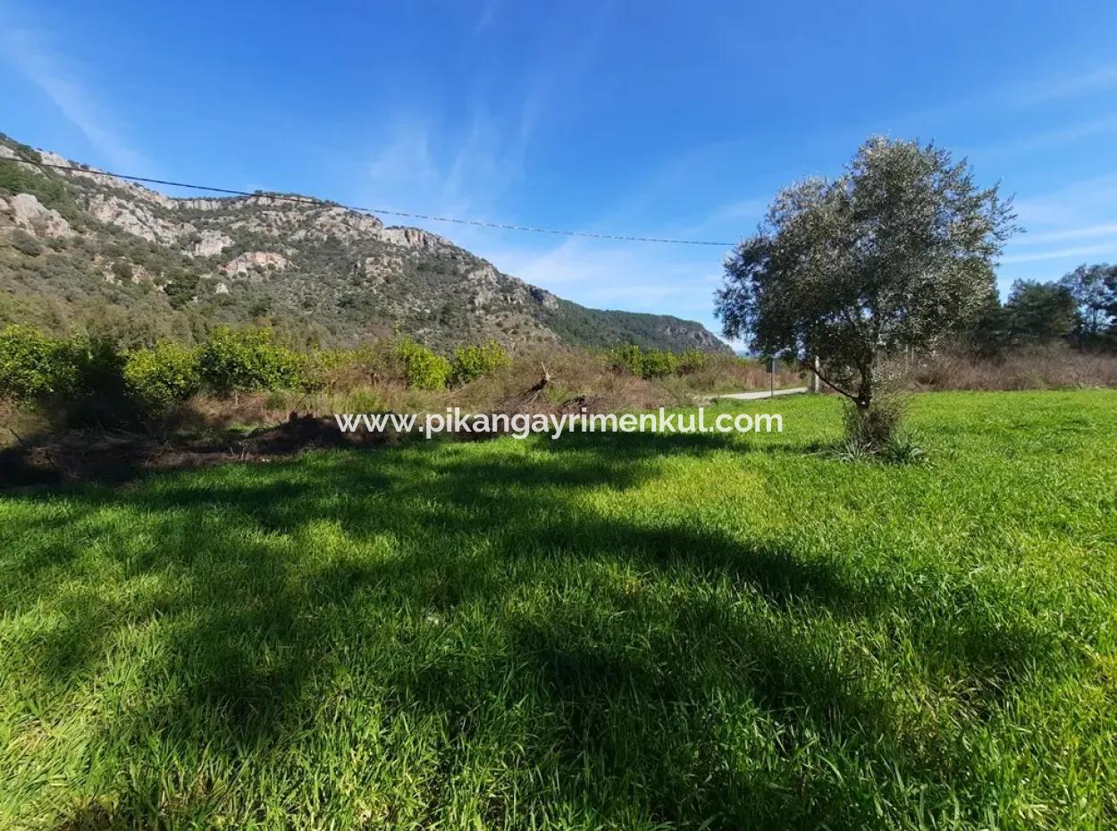 Mergenli For Sale In Ortaca Mountain Zero-Investment A Bargain Suitable Land