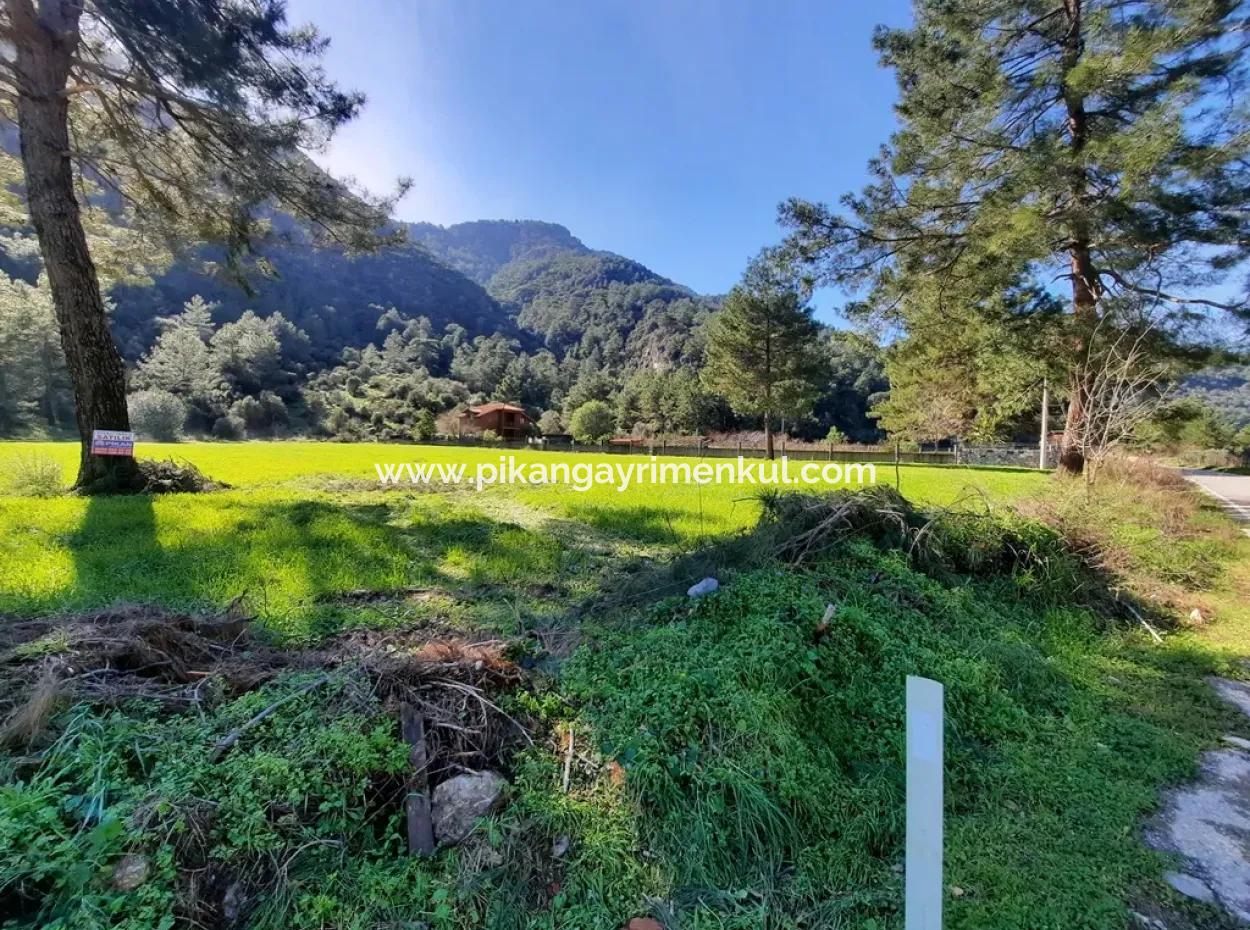 Mergenli For Sale In Ortaca Mountain Zero-Investment A Bargain Suitable Land