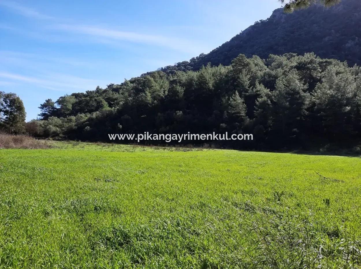 Mergenli For Sale In Ortaca Mountain Zero-Investment A Bargain Suitable Land