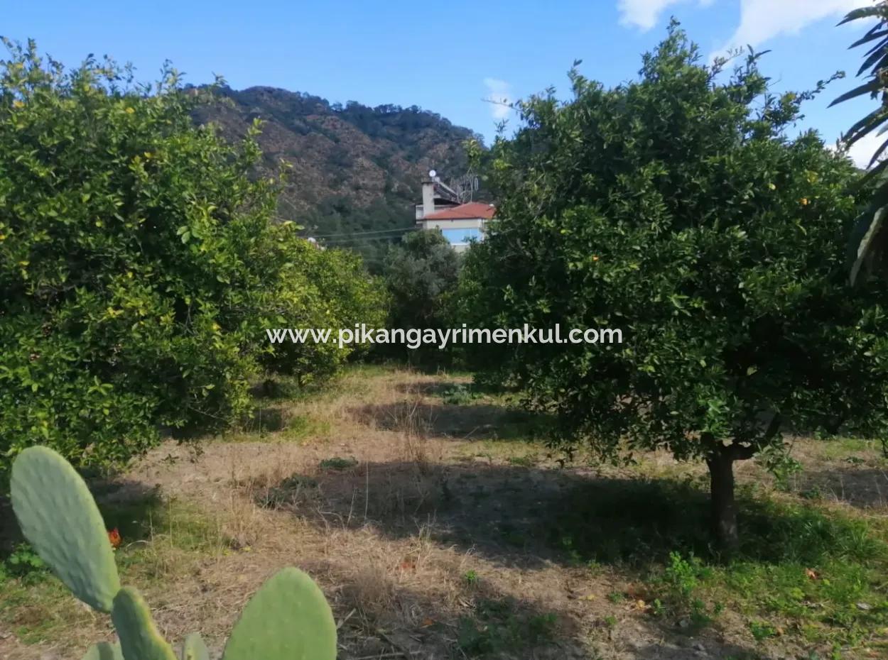 3 Plots Of Land For Sale In The Center Of Ortaca, Facing The Dalaman-Fethiye Road