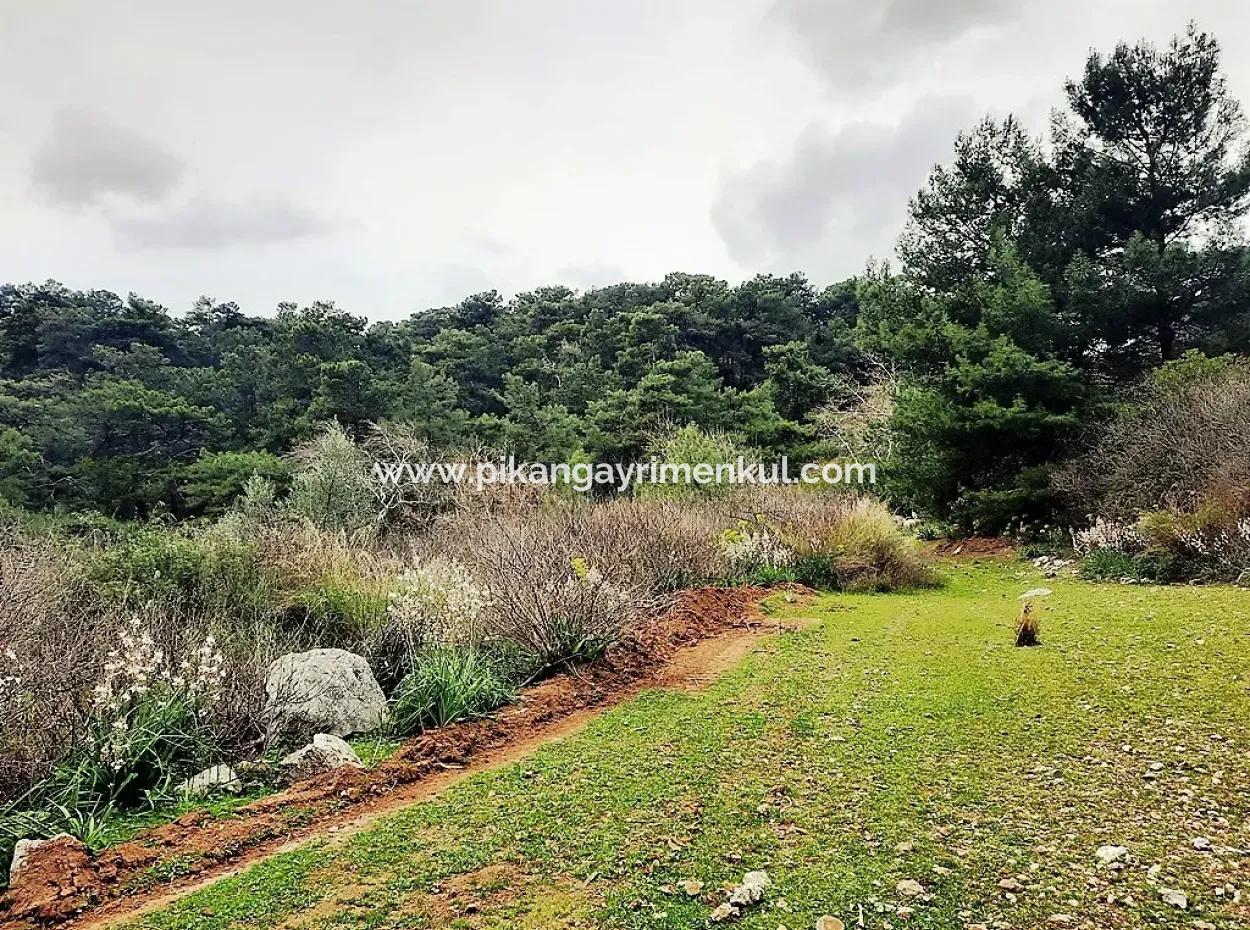 Dalyan Gökbel 13,100 M2 Field For Sale In Nature