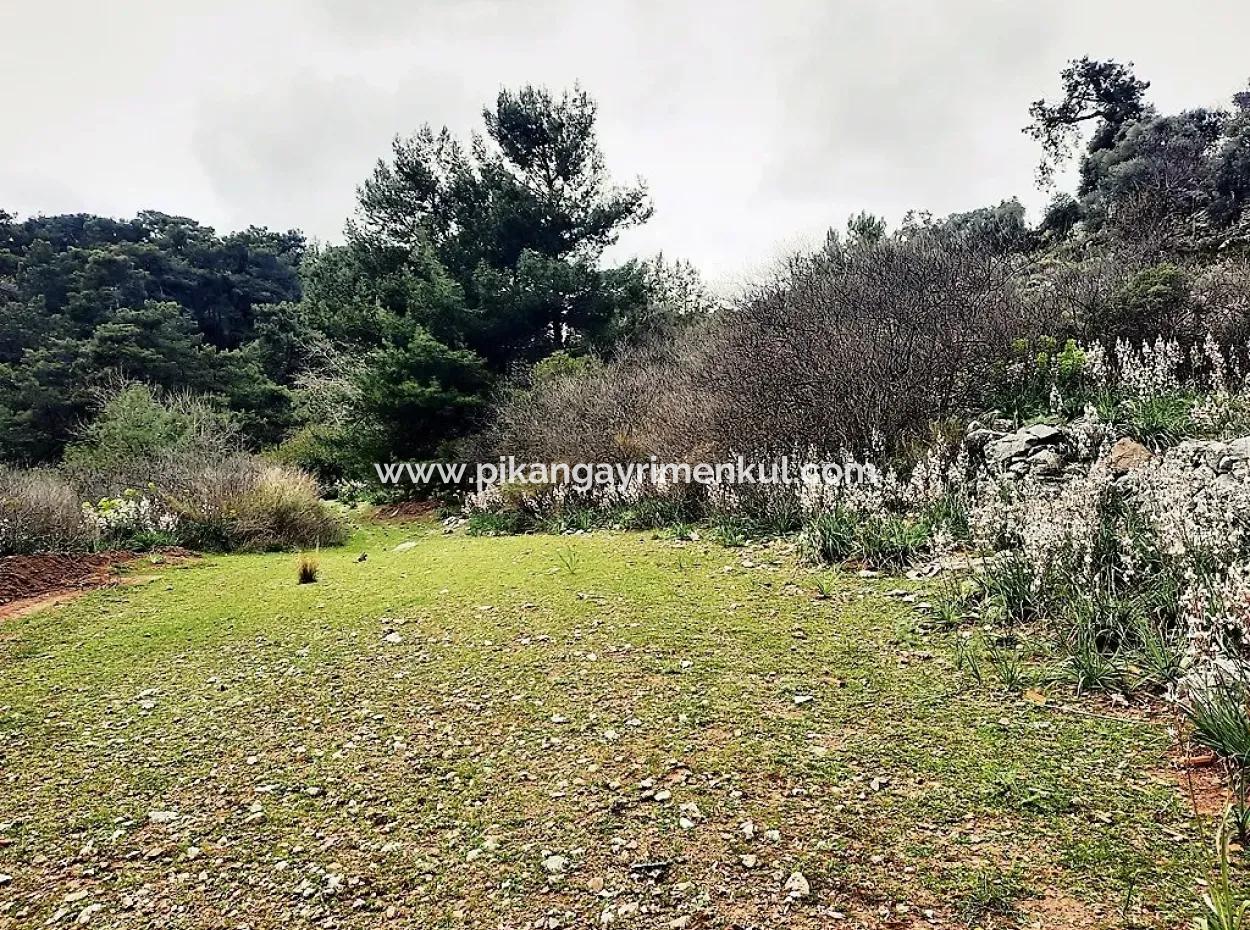Dalyan Gökbel 13,100 M2 Field For Sale In Nature