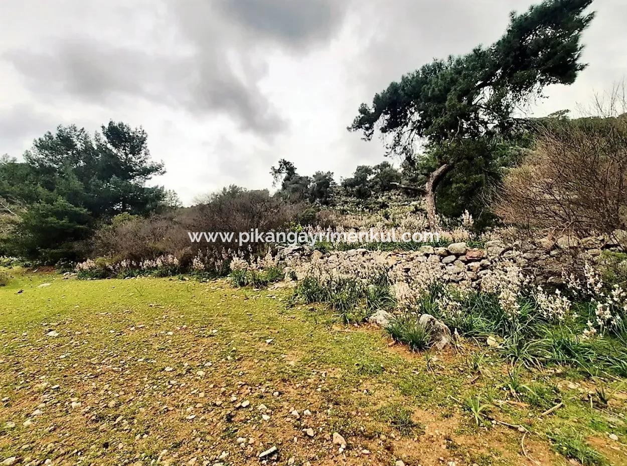 Dalyan Gökbel 13,100 M2 Field For Sale In Nature