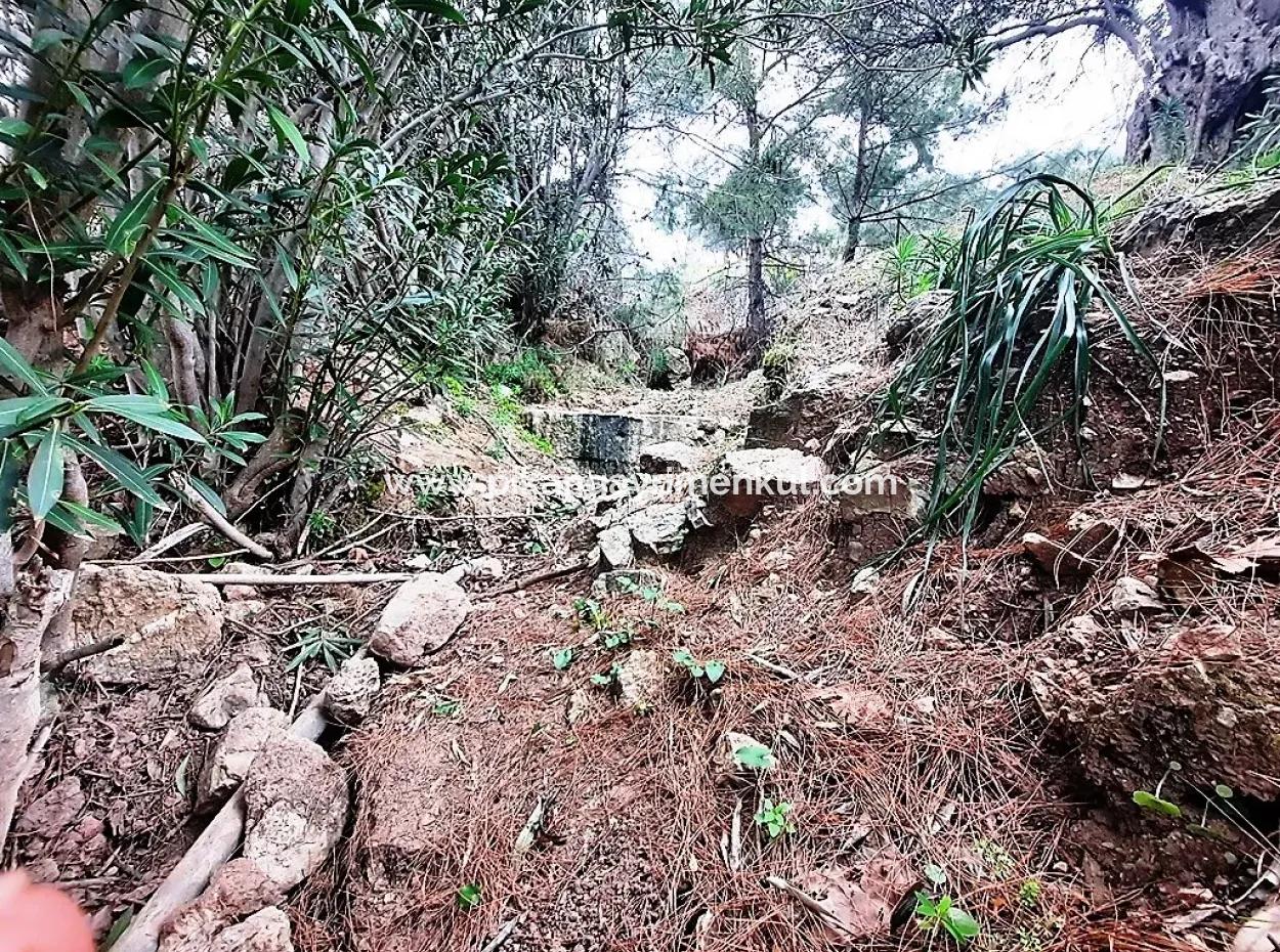 Dalyan Gökbel 13,100 M2 Field For Sale In Nature