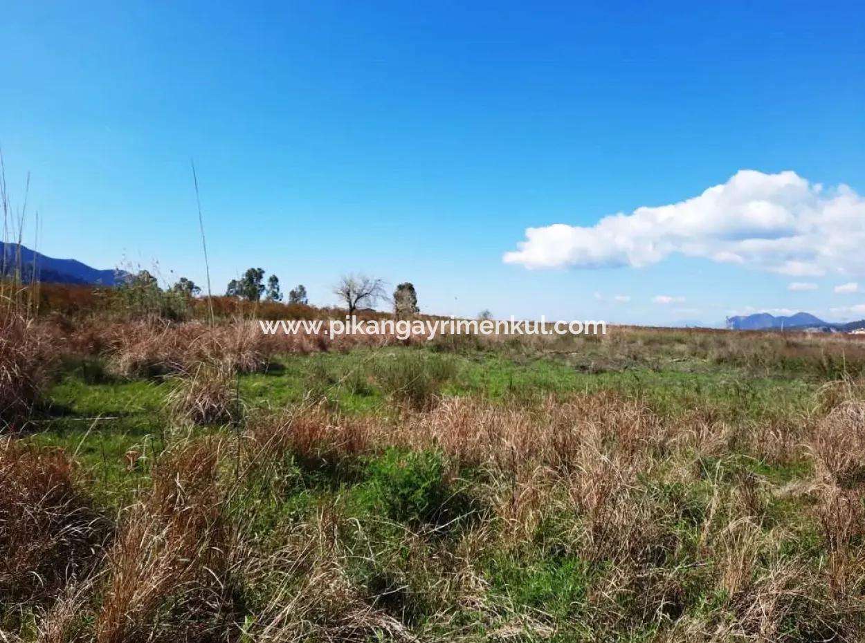 4830 M2 Land Near The Iztuzu Beach Road For Sale In Mugla Dalyan