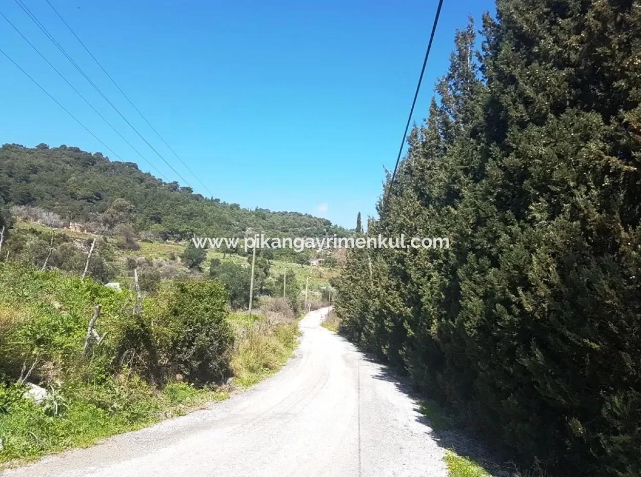 Excellent Plot For Sale Bargain, 2616 M2 Detached Parcels 6