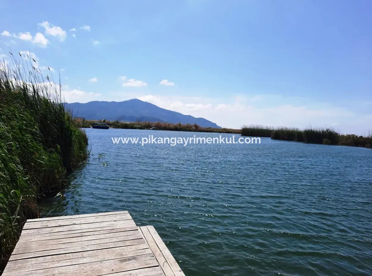 Mugla Dalyan Pomegranate Garden Suitable For Zero Investment In The Canal For Sale