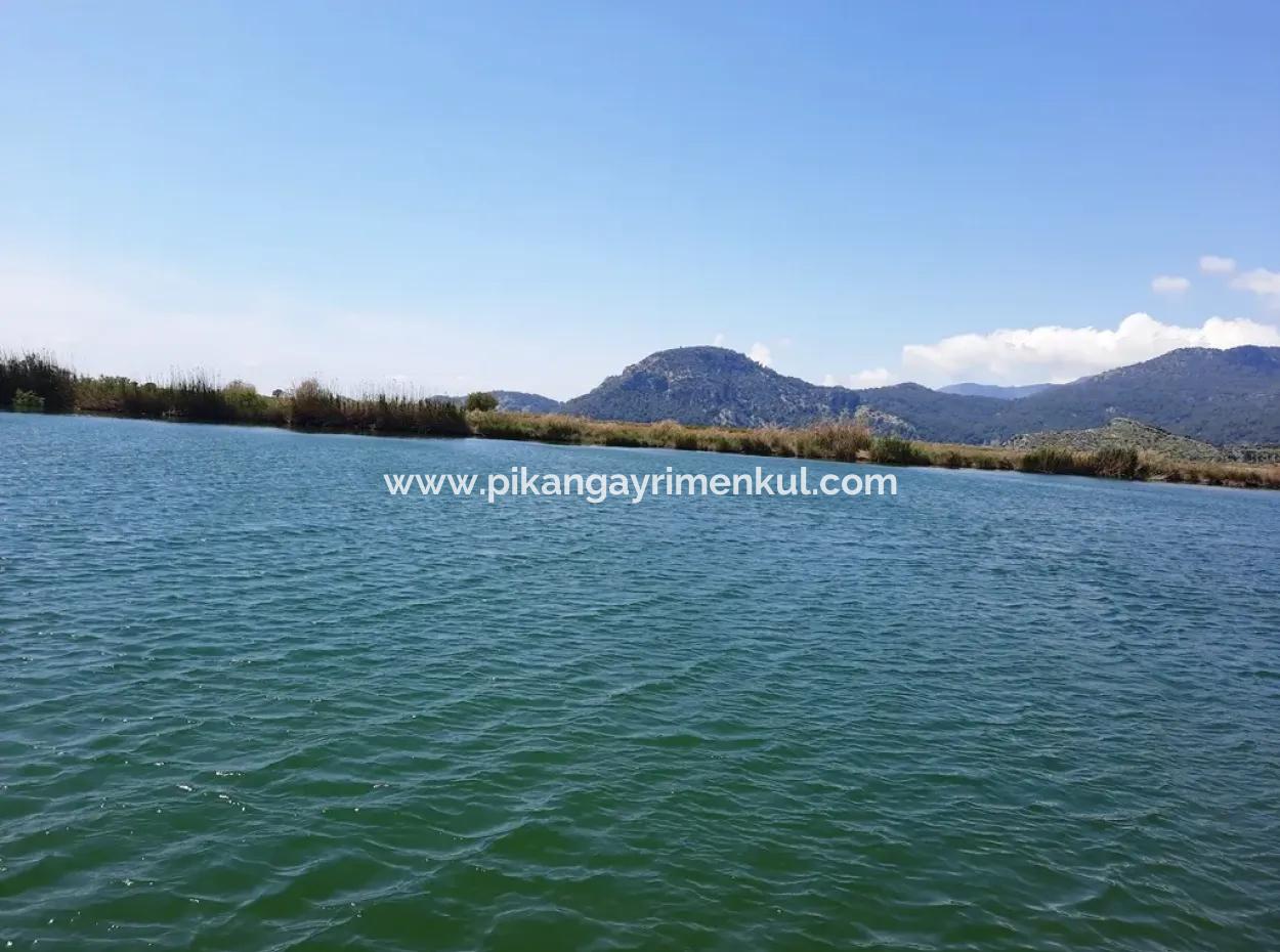 Mugla Dalyan Pomegranate Garden Suitable For Zero Investment In The Canal For Sale