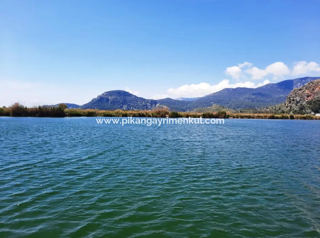 Mugla Dalyan Pomegranate Garden Suitable For Zero Investment In The Canal For Sale