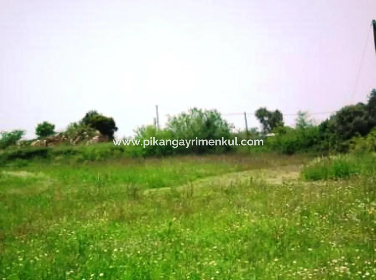 Oriya Fevziye For Sale Bargain Land, Suitable For Investment, 1500 M2