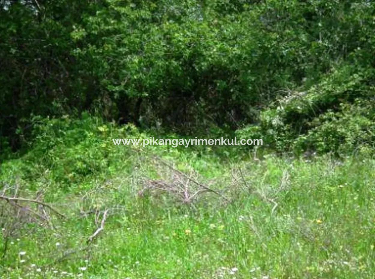 Oriya Fevziye For Sale Bargain Land, Suitable For Investment, 1500 M2