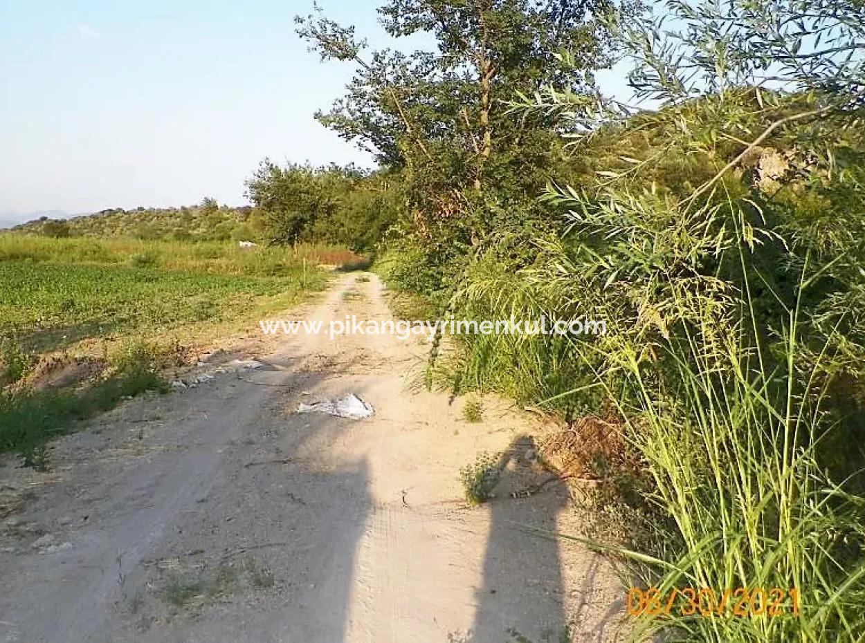 10 000 M2 Fertile Land For Sale In Mugla Ortaca Mergenli