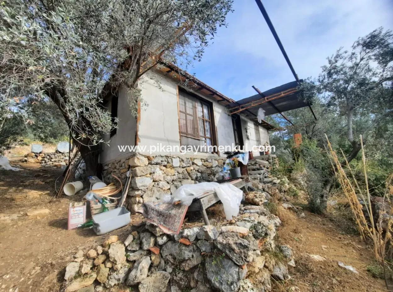 Sea View House For Sale In Gocek Gokceovacik And 11,650 M2 Land
