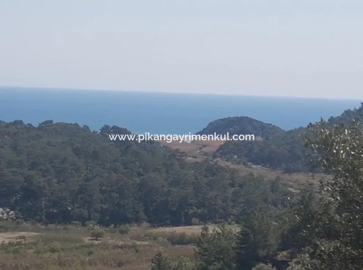 Plot With Sea Views For Sale Bargain Ortaca Sarıgerme