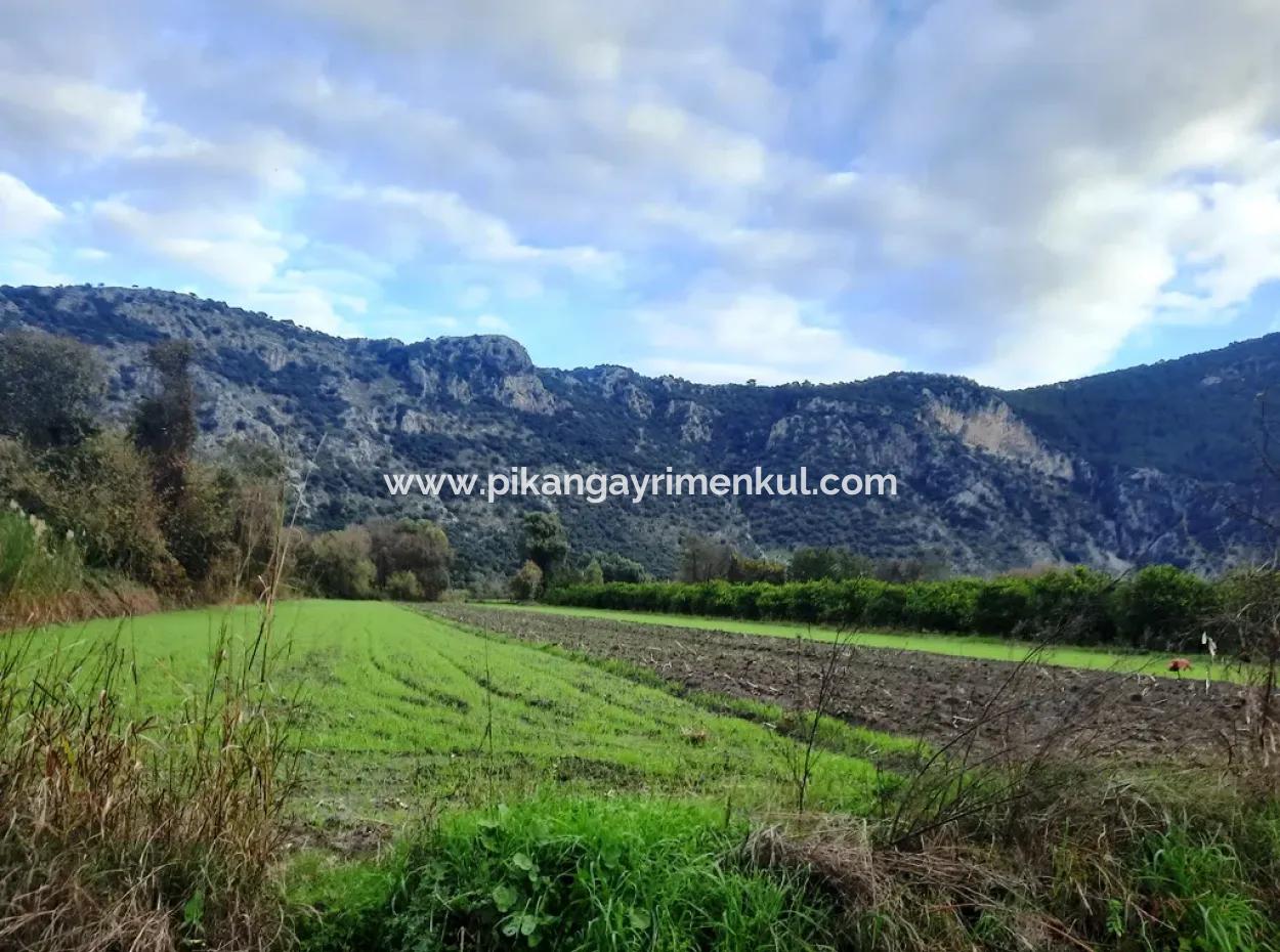 Mugla Dalyan 1100 M2 Land With Bargain Shares Suitable For Investment For Sale