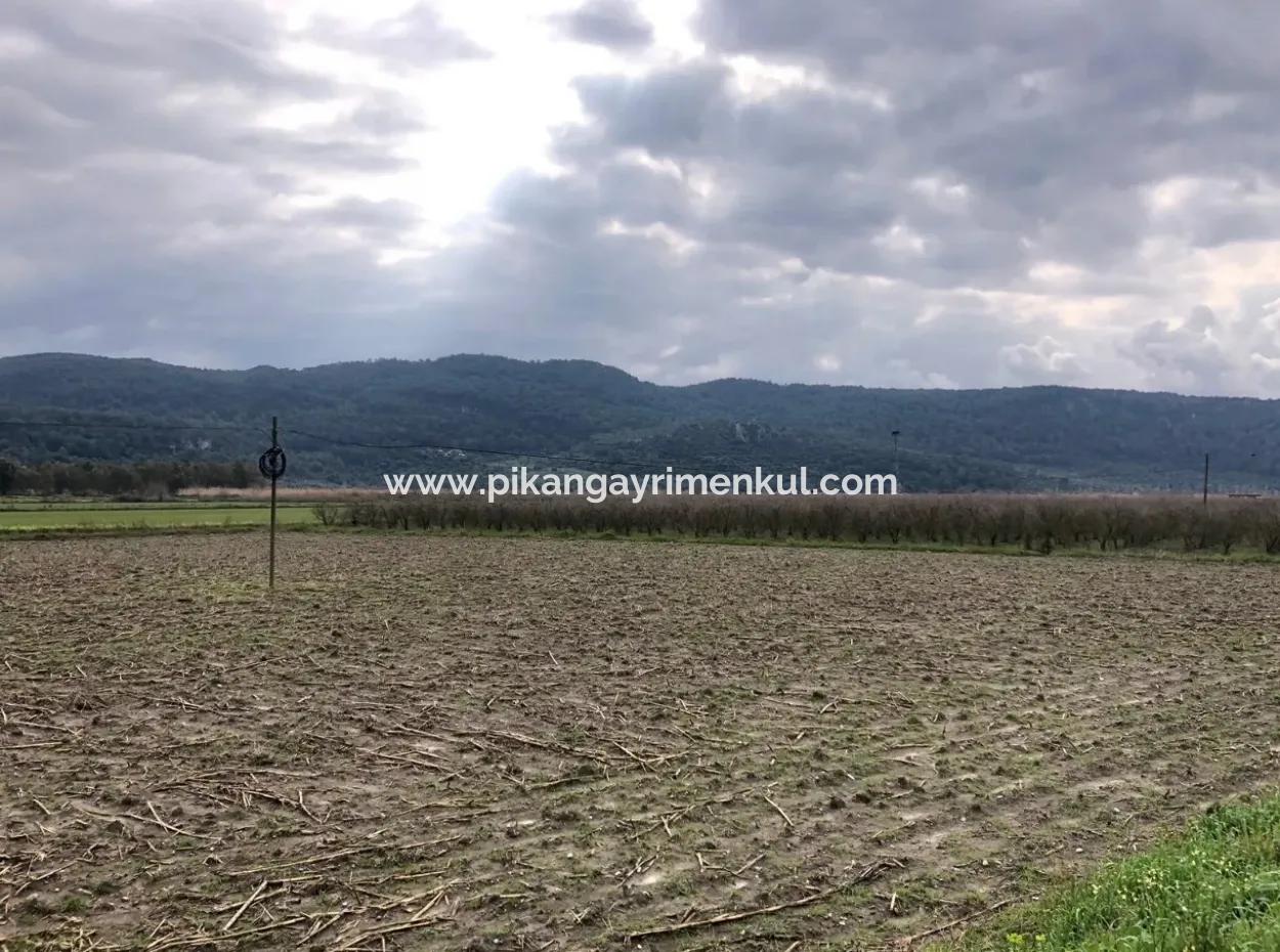 Ortaca Güzelyurt For Sale On The Main Road Zero Field