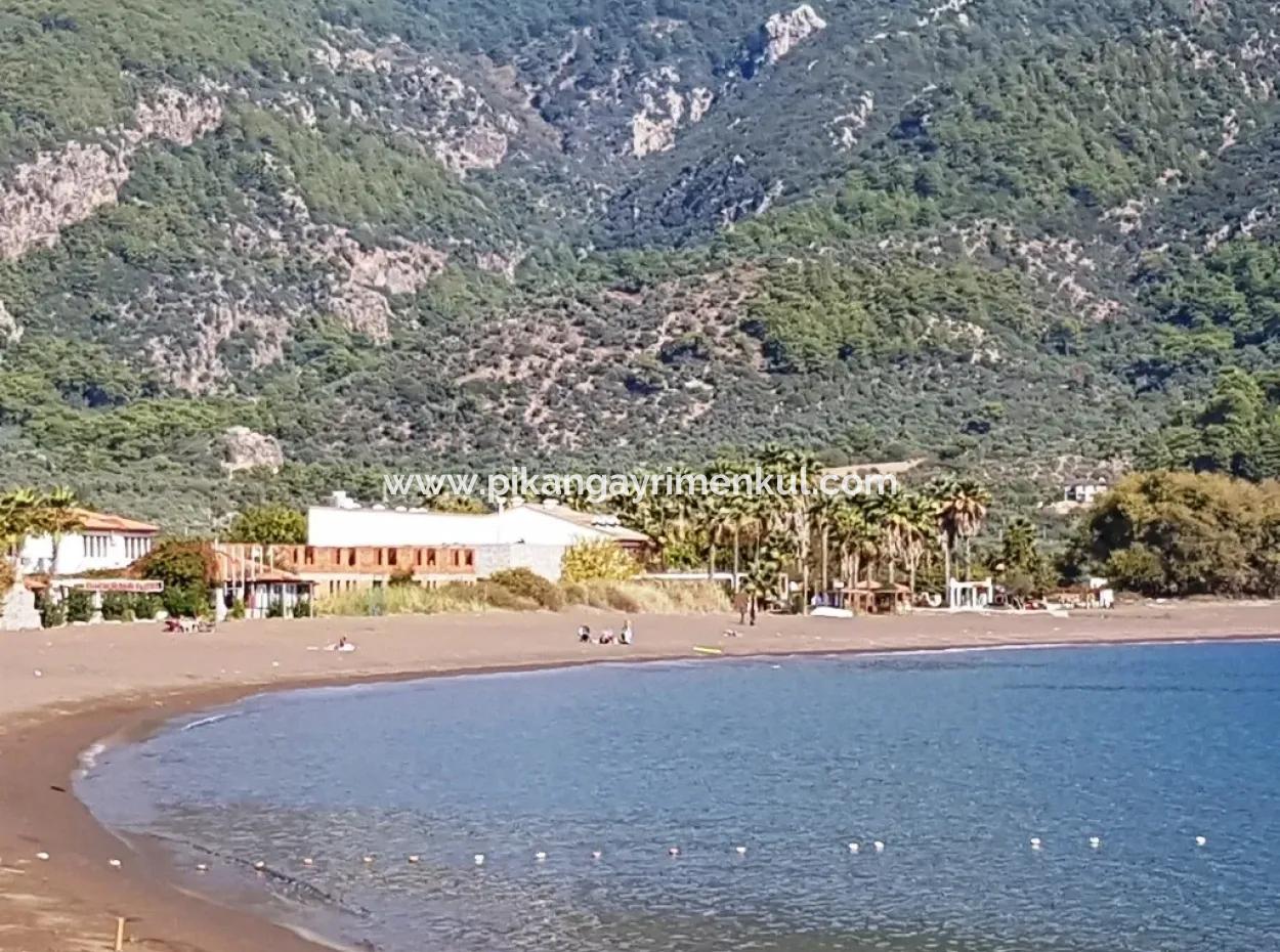 Olive Grove With Sea Views For Sale In Köyceğiz Ekincik