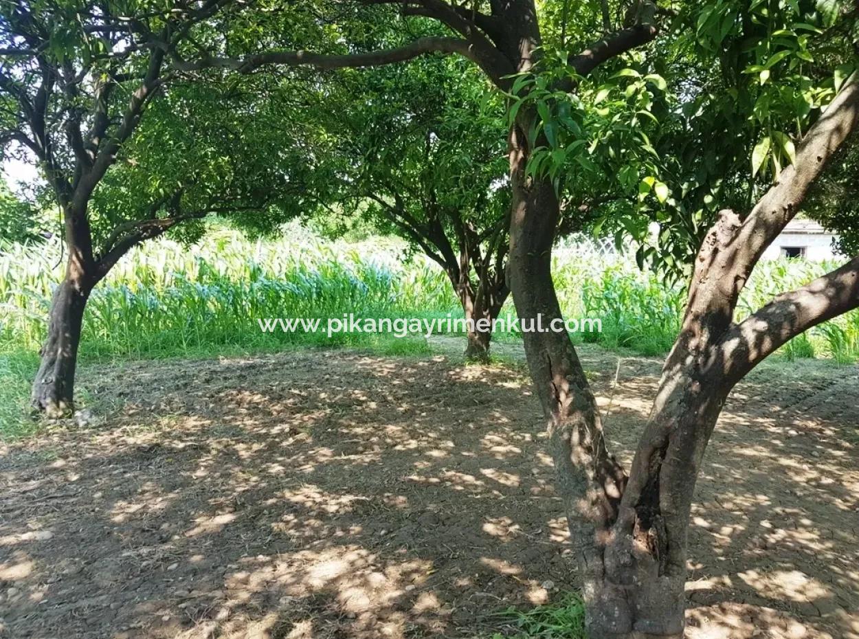 Dalaman Cheap Land For Sale In Investment, Appropriate Land