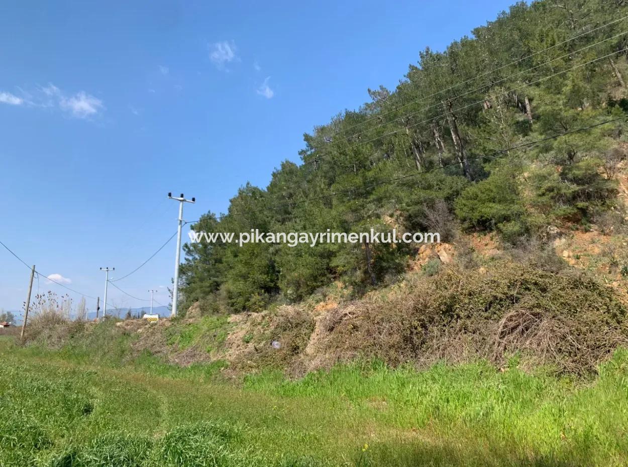 15220 M2 Field For Sale Between Ortaca Tepearasi