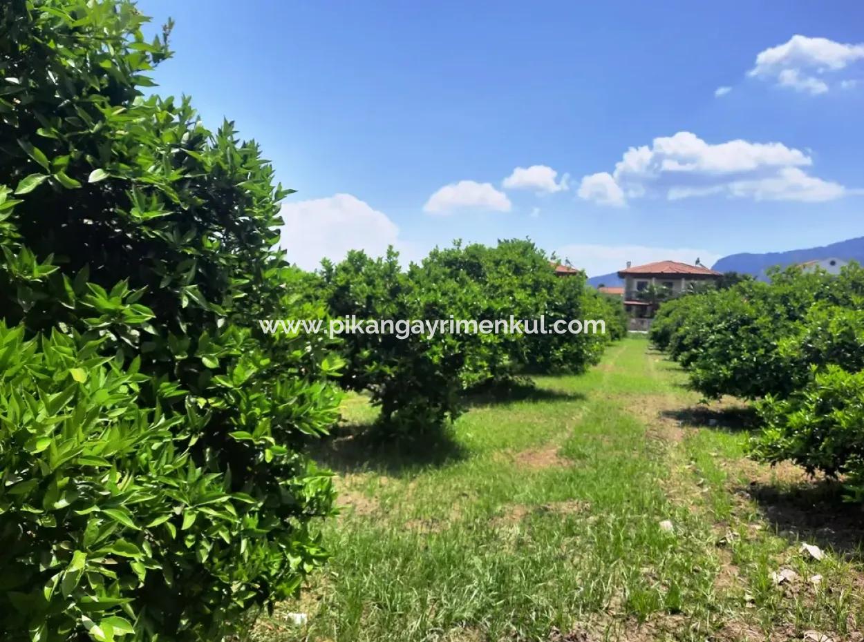 722 M2 Zoned Detached Land For Sale In Dalyan, Muğla