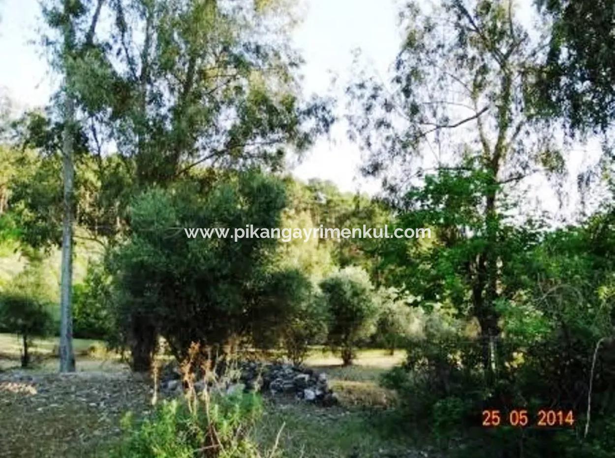600 M2 Sea View Garden For Sale In Mugla Fethiye Eldirek