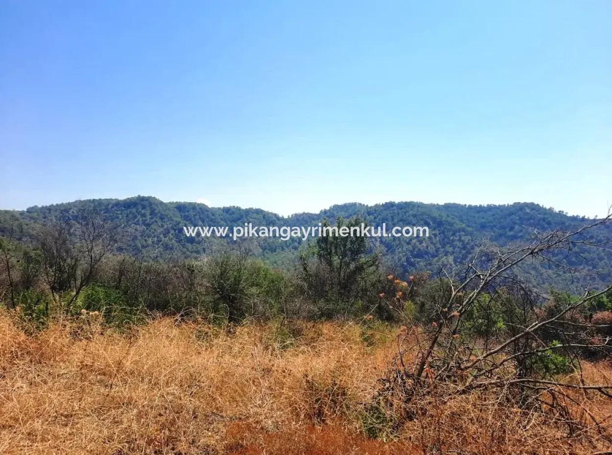 Muğla Dalaman 42.432M2 Detached Land With Title Deed For Sale