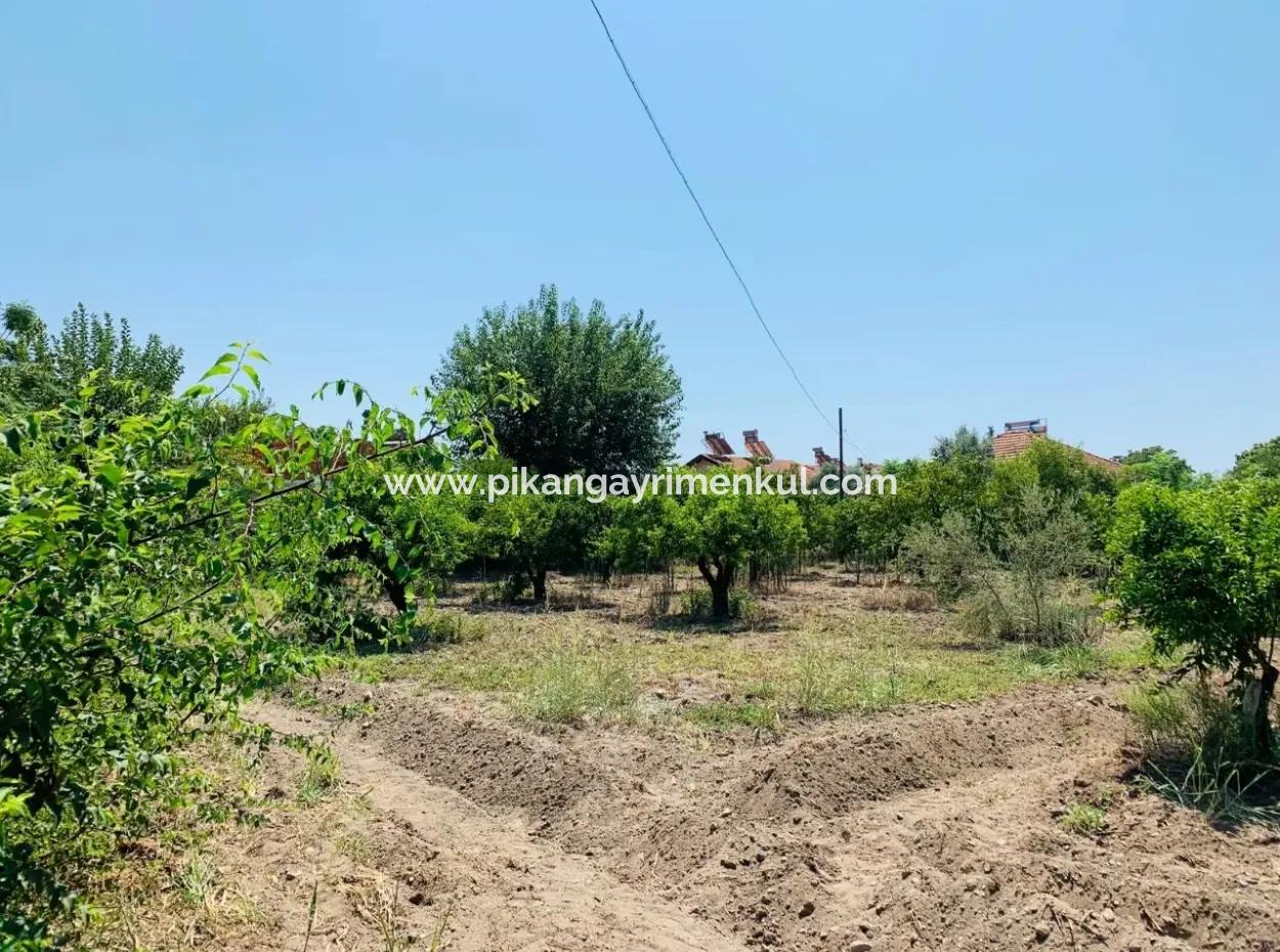 Plot For Sale In Up
