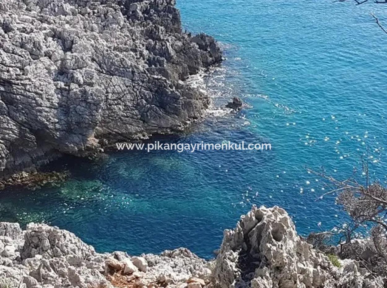 Dalyan, Gökbel De Seafront Detached 1 300 M2 Olive Grove For Sale