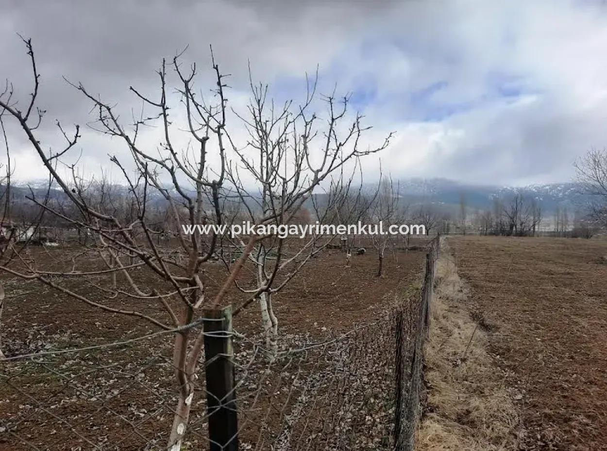 Denizli Çameli Belevi De 358 M2 Detached Deed Field Hobby Garden For Sale