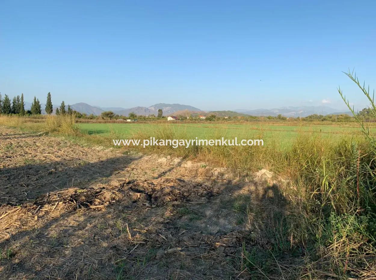 3000 M2 Of 28.394 M2 In Ortaca Güzelyurt Field For Sale