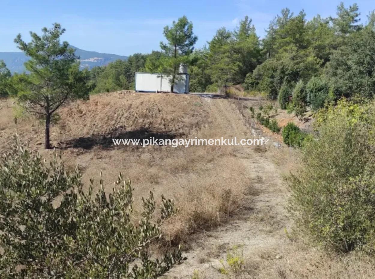 Ula Esentepede 4 200 M2 Sea View Land For Sale
