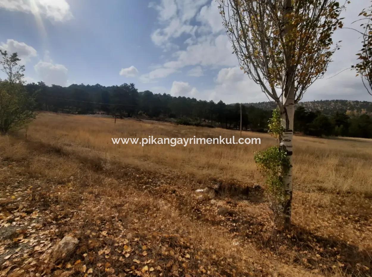 6 230 M2 Detached Land For Sale Or Exchange On The Old Acıpayam Road In Çameli Cumanda