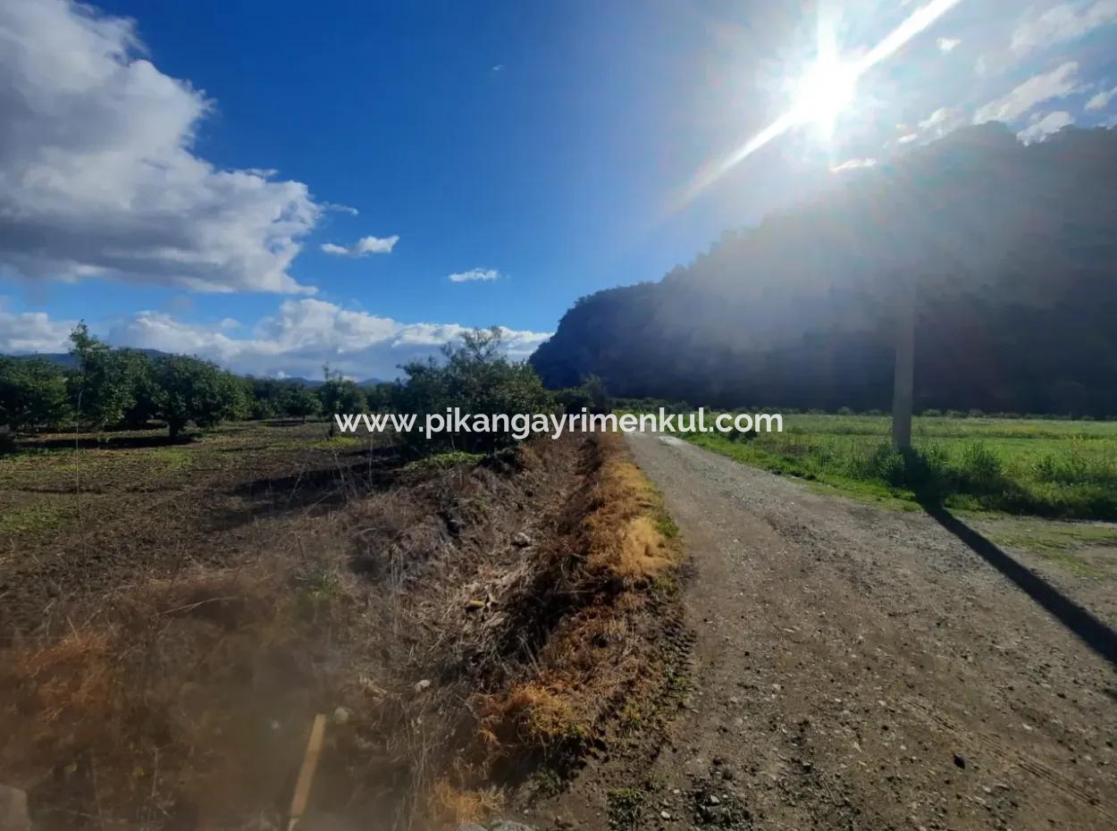 20.000 M2 In Muğla Ortaca Okçular Marmarlı, Land For Sale In The Zoning Plan