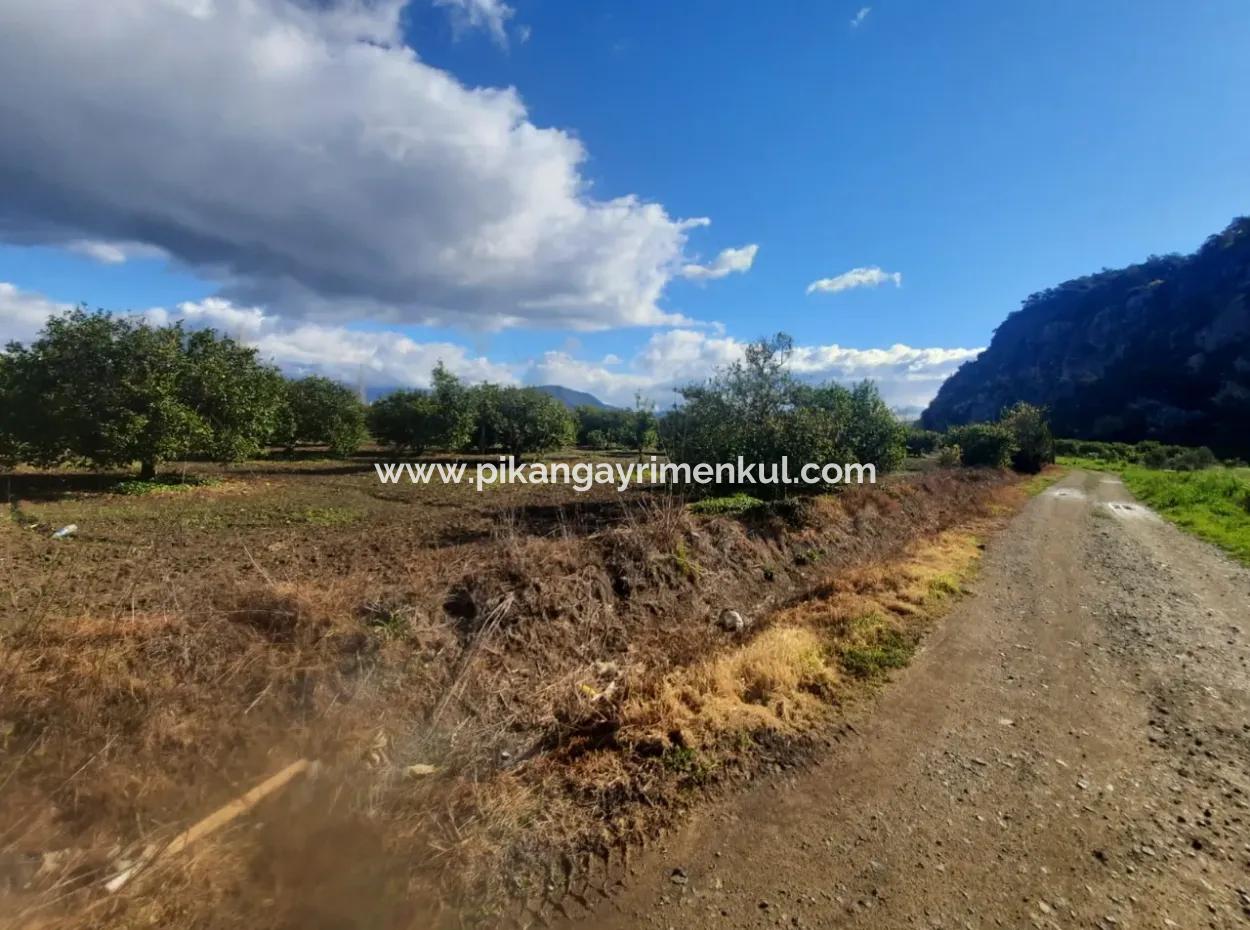 20.000 M2 In Muğla Ortaca Okçular Marmarlı, Land For Sale In The Zoning Plan