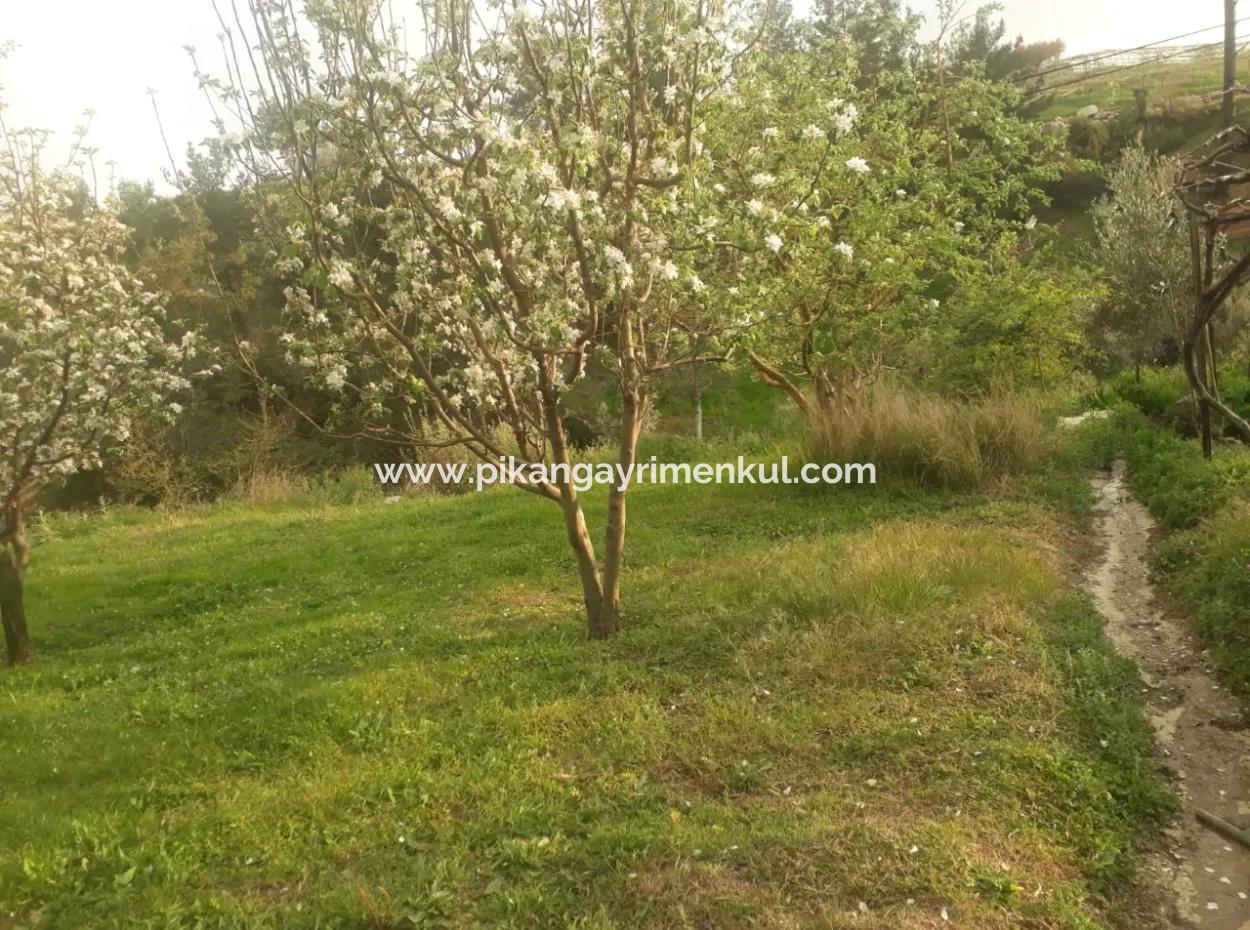 Fethiye Seydikemer Arsaköyn De 900 M2 Side By Side 2 Parcels Apple Orchard For Sale.