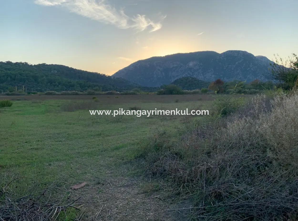 26.200 M2 Detached Field And 3.000 M2 For Sale In Ortaca Güzelyurt