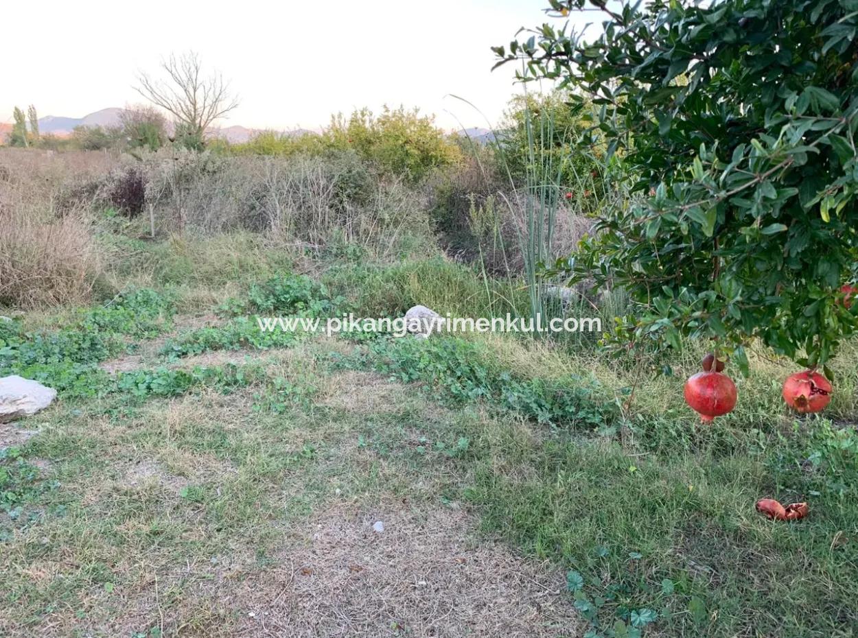 26.200 M2 Detached Field And 3.000 M2 For Sale In Ortaca Güzelyurt