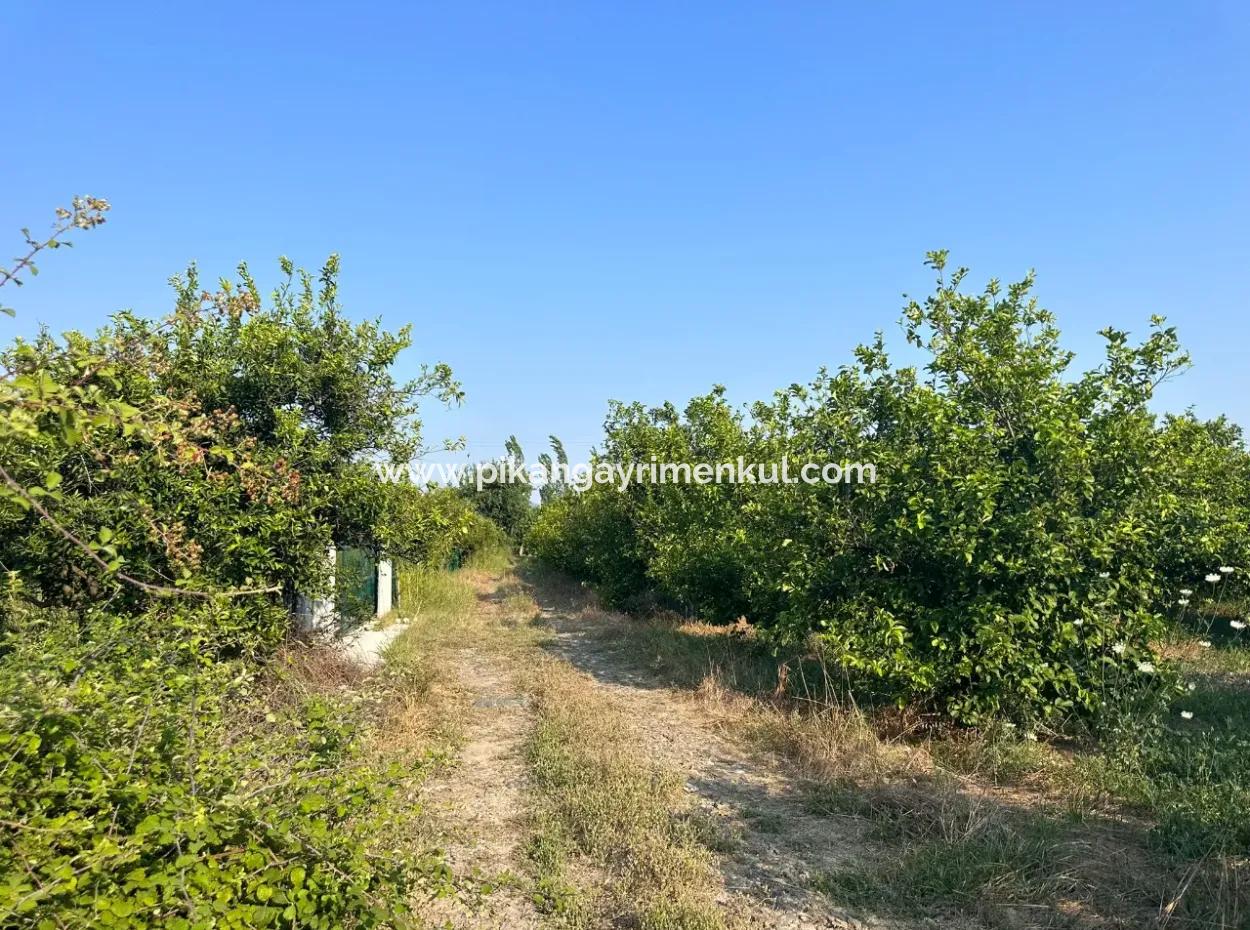 500 M2 Land For Sale In Ortaca Dikmekavak