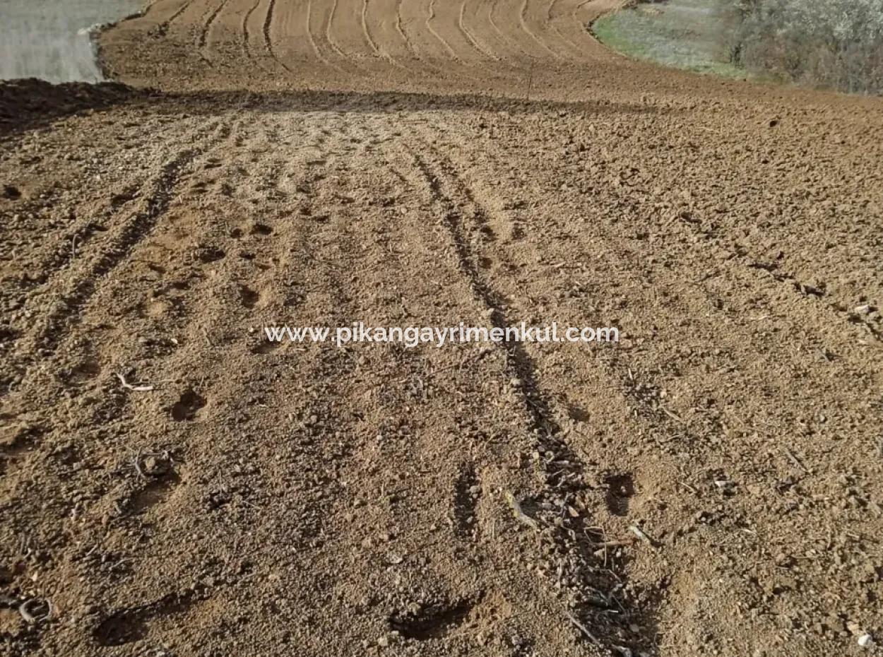 Detached, Fertile, 3 500 M2 Flat Land For Sale In Acıpayam Çakır