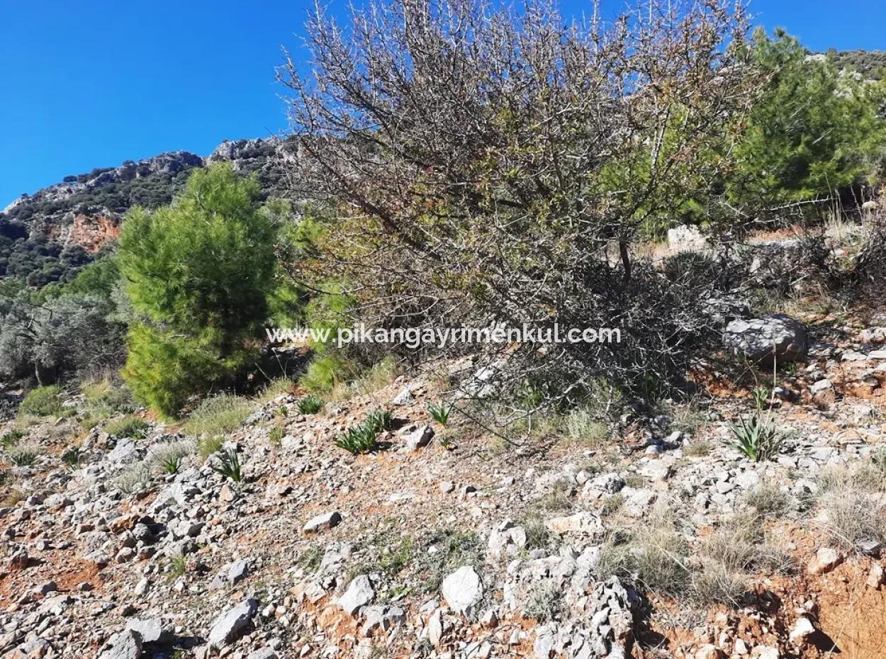 Muğla Ortaca Dalyan Gökbelde 3 100 M2 2B Land Property Right Will Be Transferred